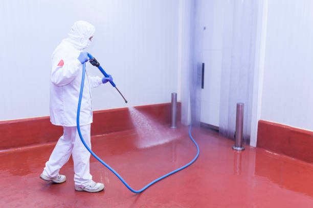 Best Roof Washing  in Sudan, TX
